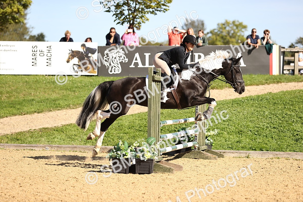 SBM_38399 - J39 - Senior 85cm Championship
