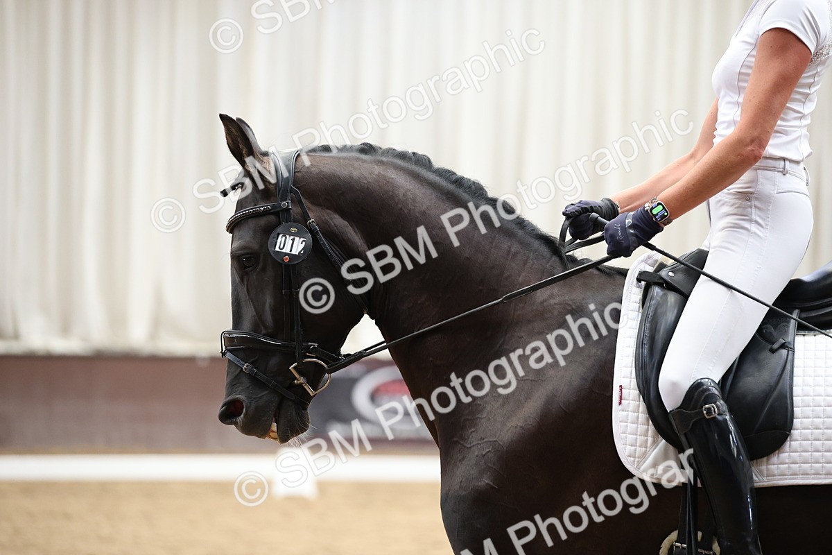 5K7A0291 - Novice 2