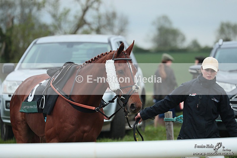 PtP 040526 05 - Mollington Point-to-Point 04/05/26