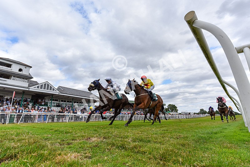 220726-Race 3-Wise Crack-3700 - Race 3 15.10pm Sky Bet For The Fans Handicap