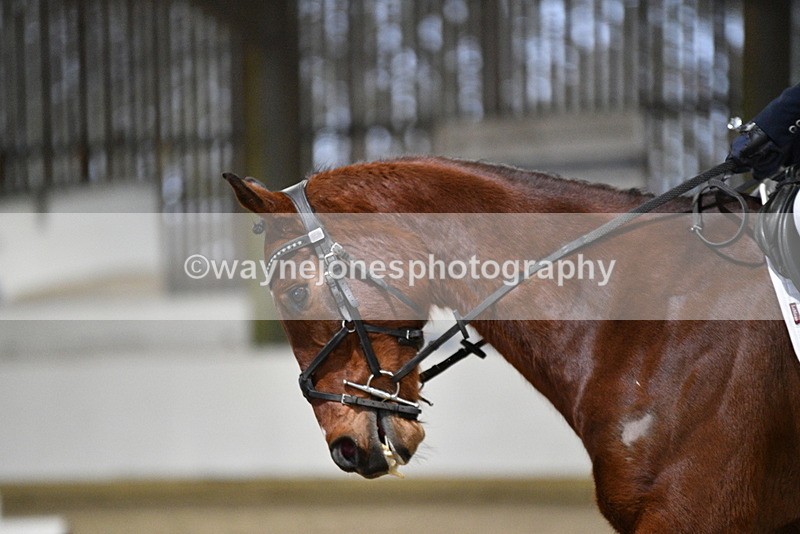 WJ5_7777 - Time 10:29 to 10:56