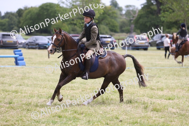 20260614-2867 - Class 22 - Open Working Hunter