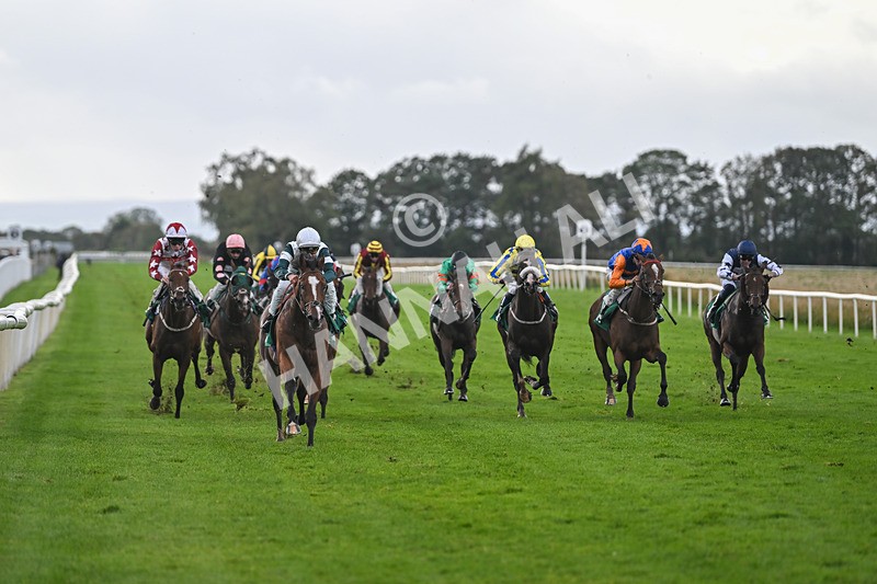 150925-Race 4-Hockney-2735 - Race 4