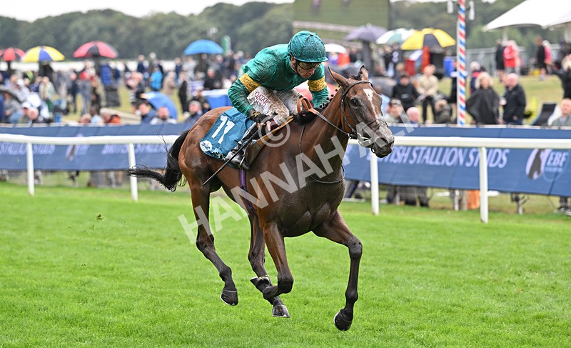 200826-133 Prizeland - Race 5 16.10pm British EBF & Sir Henry Cecil Galtres Stakes
