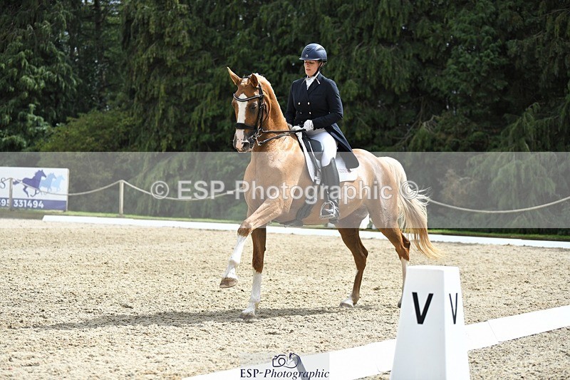 230812-144423-04785 - Cls 7 FEI PSG Bronze