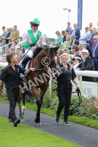 yr19082022r3-19 - Race 3 3.00pm Al Basti Equiworld Dubai Gimcrack Stakes