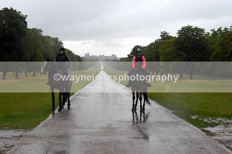 TT3_8859 - Time at Crossing 12:55 to 15:02