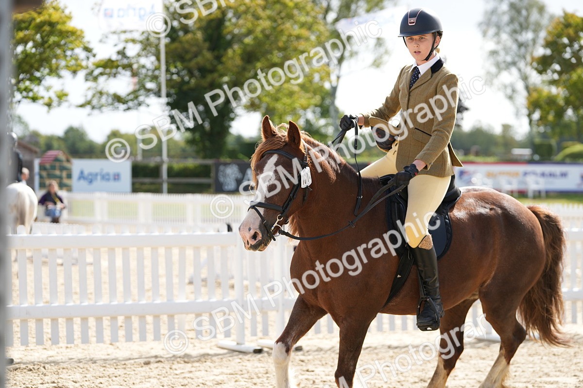SBM_17879 - J58 - Clear Round 50cm