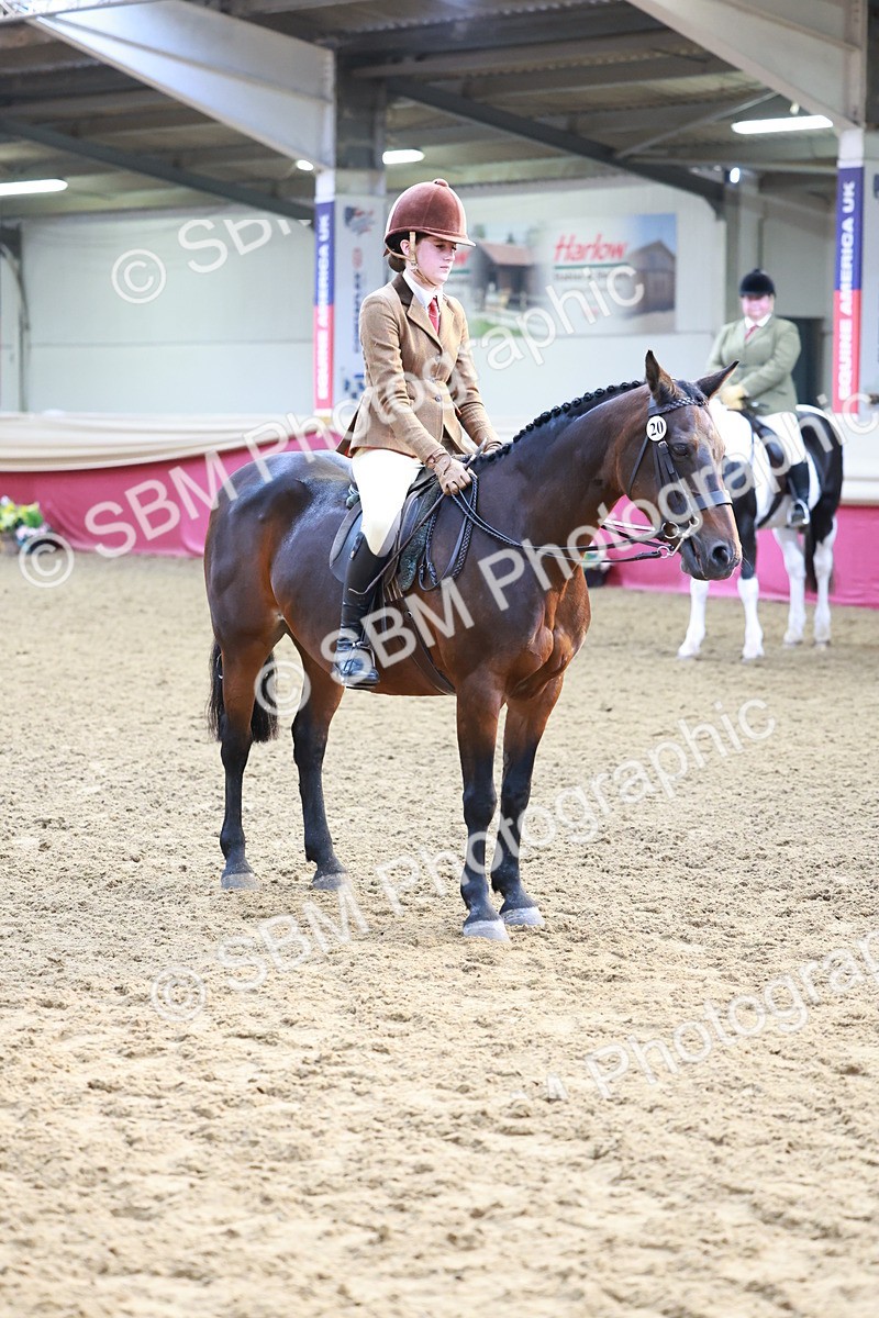 SBM_11918 - Class 102 - Equitation (Best Rider) Adult