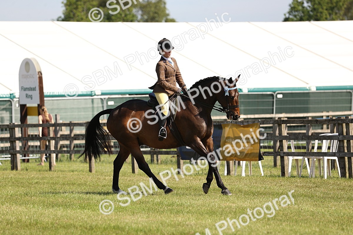SBM_12891 - Class 75-76 LIHS BSHA Rising Star Hack Riding Horse