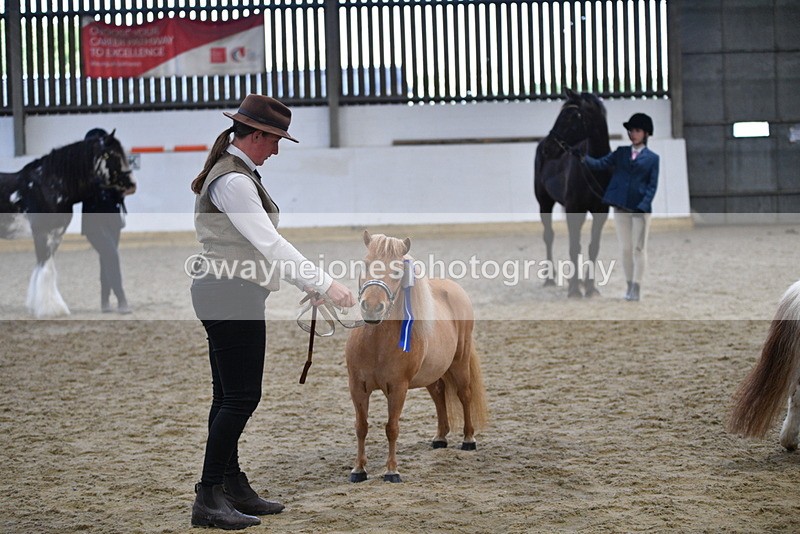 WJ5_5148 - Class 7 In hand coloured / odd coloured