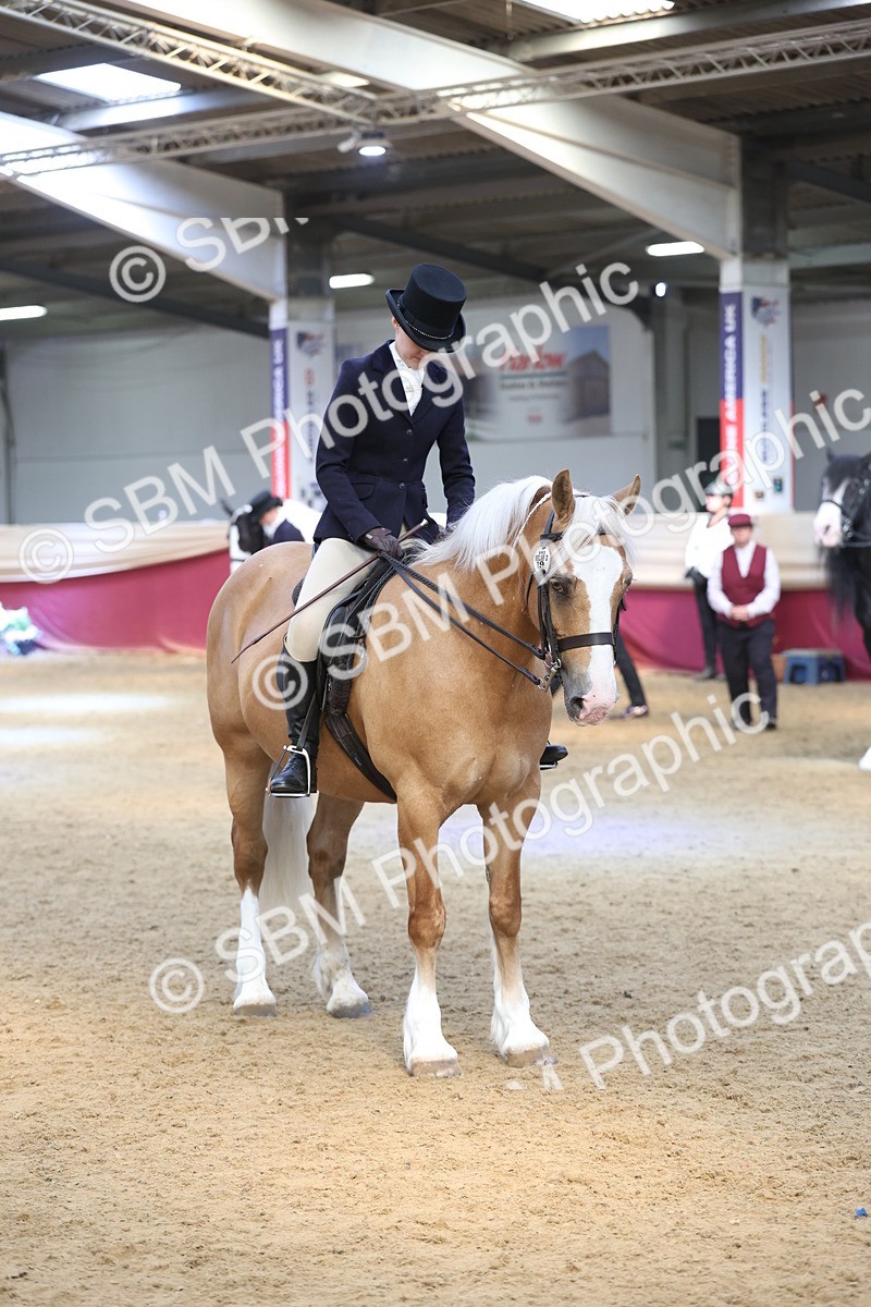SBM_23775 - class 906 - Supreme Final - Ridden Pre Vet