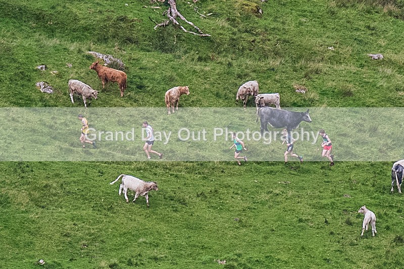 Arnison Crag-14 - Arnison Crag Horseshoe Fell Race Saturday 26th August 2023
