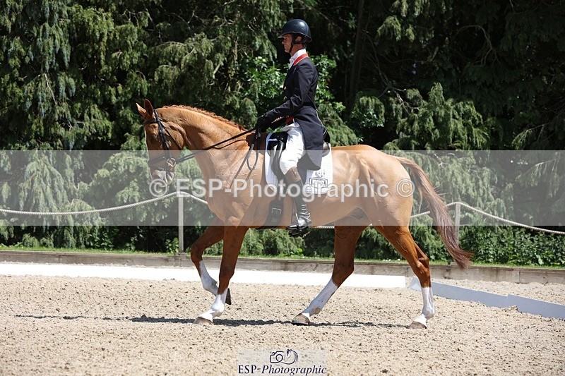 230526-135821-06426 - 370-DUKE_LEGACY-William_Fox-Pitt-WEDTrotUp+DR