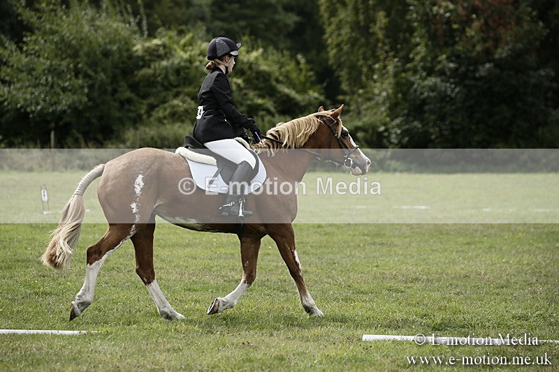 BVR080918 78 - BVRC Novice Dressage & CR 08/09/18