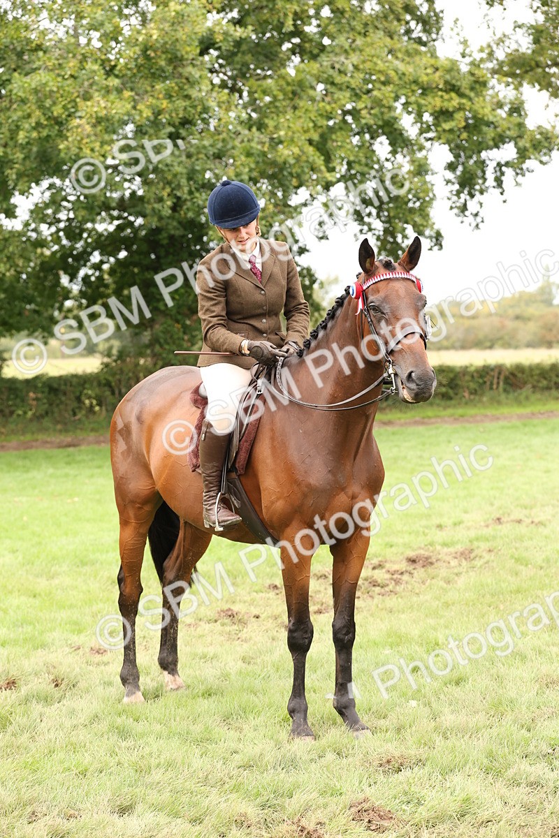 SBM_64297 - S65 - Riding Horse & Hack & Thoroughbred Ridden
