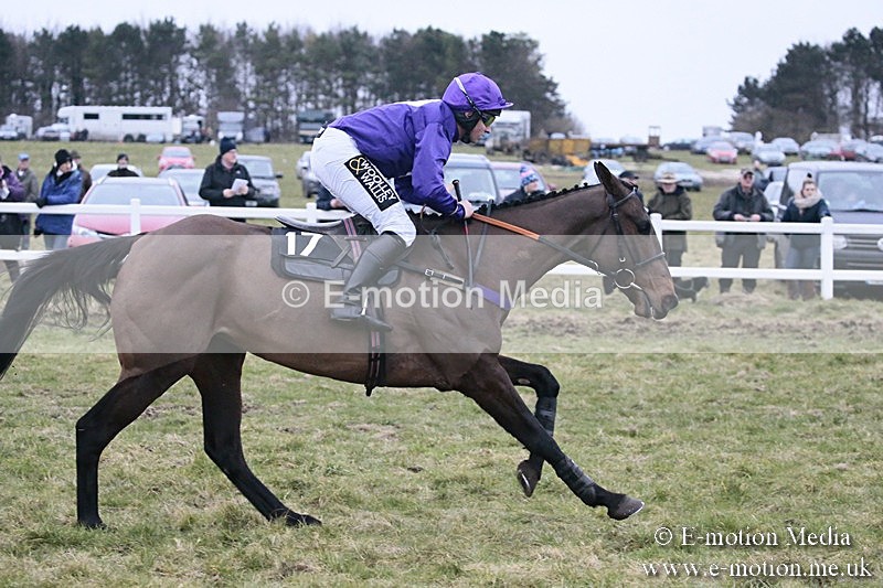 PtP 180218 861 - Combined Services Point-to-Point Larkhill 18/02/18