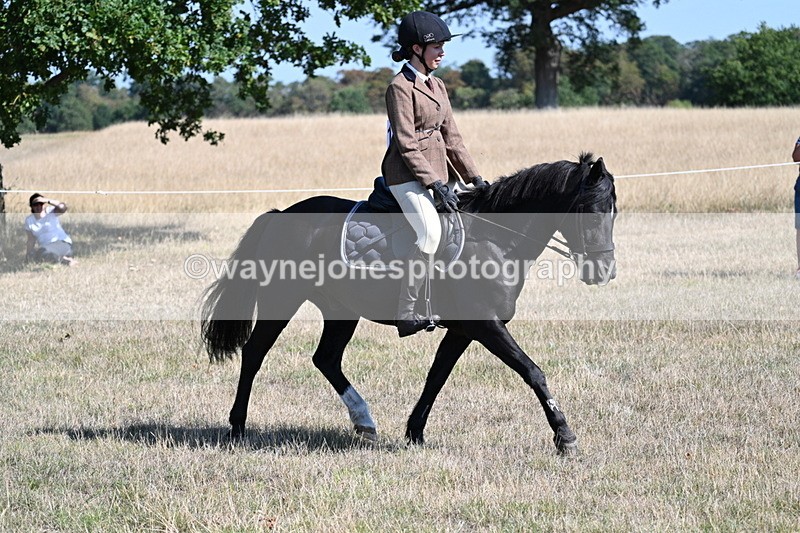 WJ7_3805 - Class 9 Mountain & Moorland Ridden