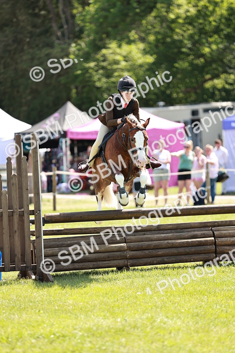 SBM_17622 - Class 112-113 - BSPS LIHS Working Sports Pony