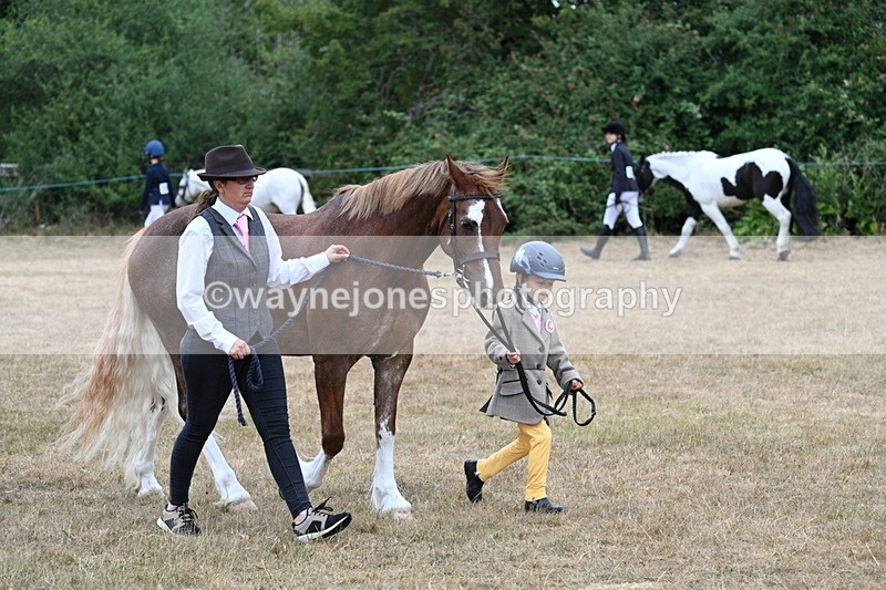 WJ7_8053 - Class 4 Prettiest Mare up to 14.2hh