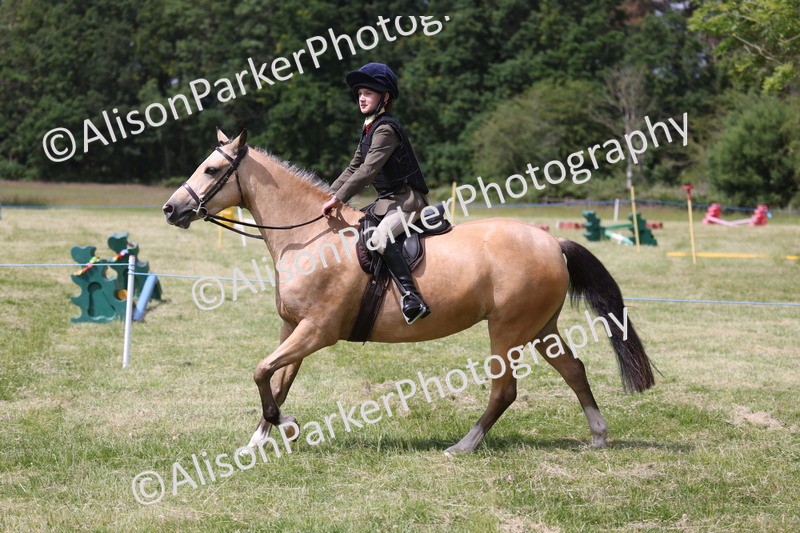 20260614-1788 - Class 21 - Novice Working Hunter Pony