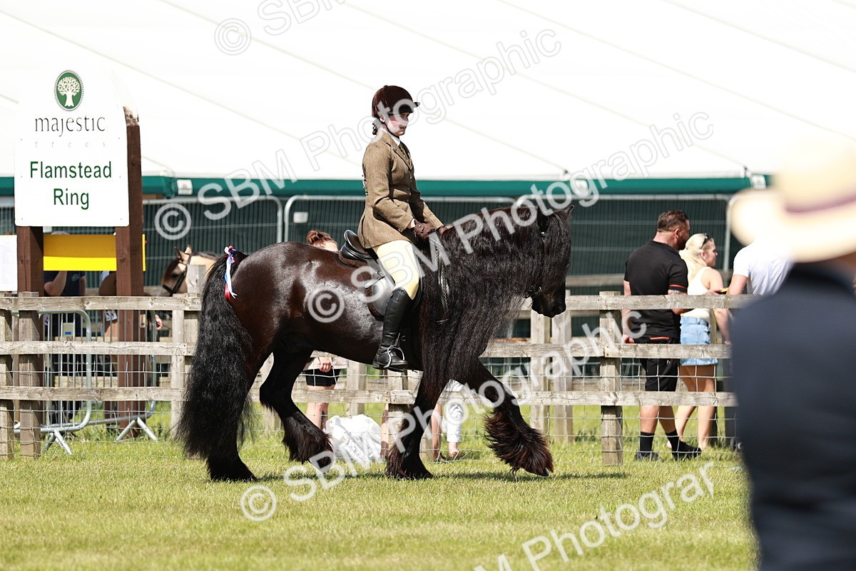 SBM_07116 - Class 26-30 - Mountain and Moorland Ridden