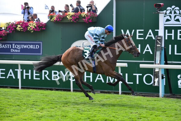 yr19082022r2-45 - Race 2 2.25pm Weatherbys Hamilton Lonsdale Cup (British Champions Series Race)