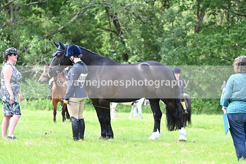 WJ7_1423 - Class 11 Condition & Turnout