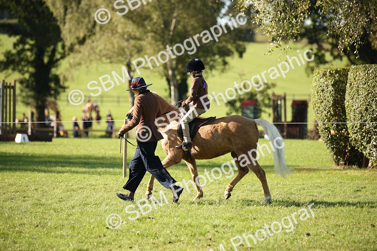 SBM_35745 - S9 - Lead Rein Equitation