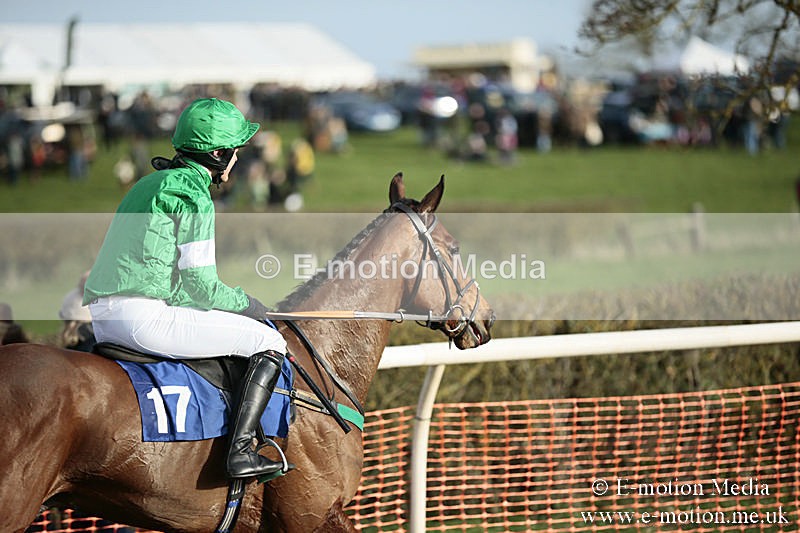 PtP 230319 534 - VWH Hunt Siddington Point-to-Point Racing 23/03/19