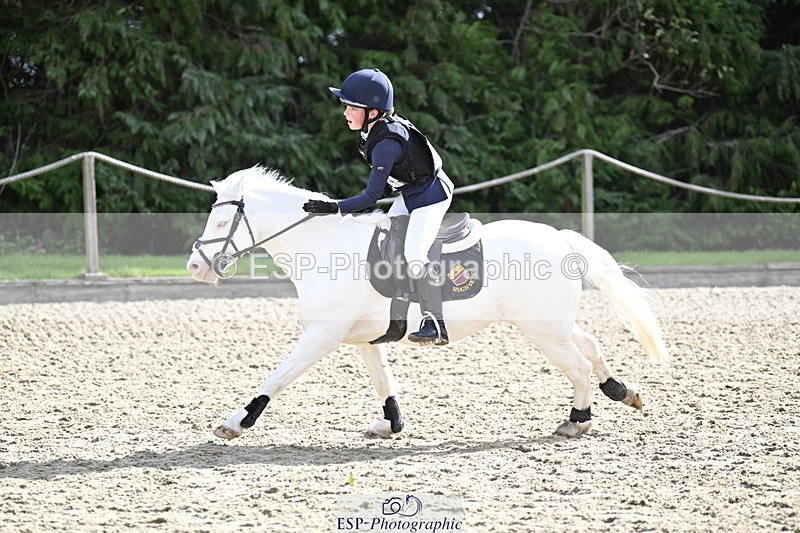 251005A-121737-03713 - Cls 08 Mini 70-75cm