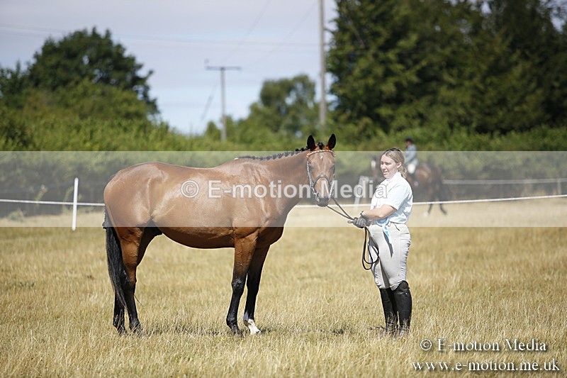 _C7A9752 - BVRC Sow 2018 Ring 2