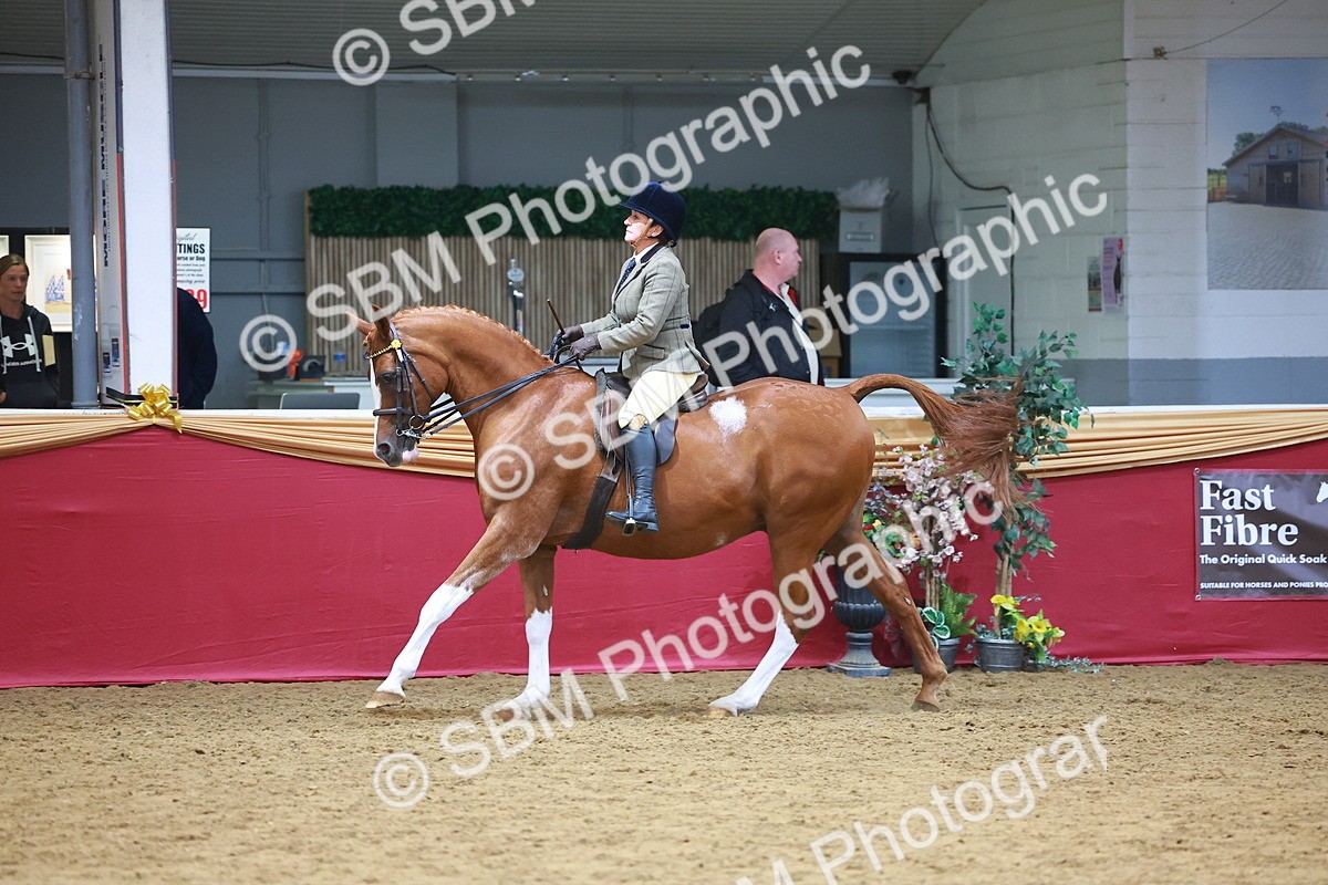 SBM_06093 - Class 12R - Ridden Pre-Vet