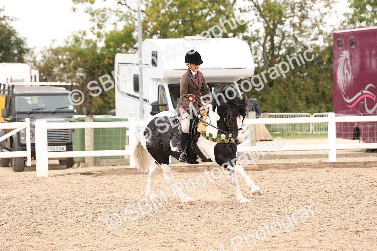 SBM_19747 - Class 216 - Ridden Traditional - Native Cob