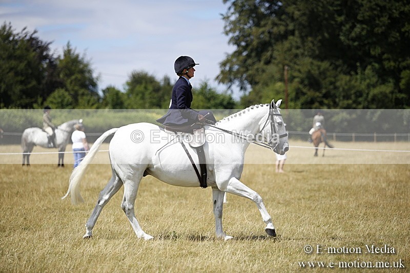 _C7A0249 - Side Saddle Classes BVRC Show 2018