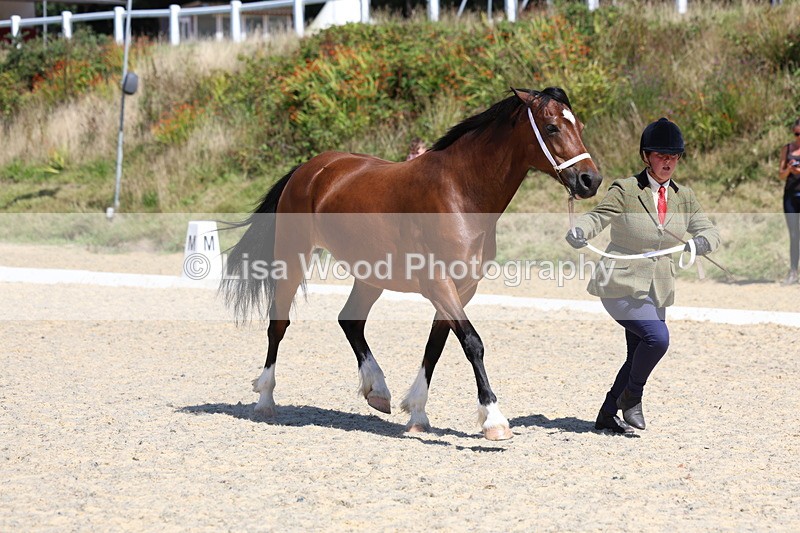 3E7A9639 - Class 32: Best Grass Kept