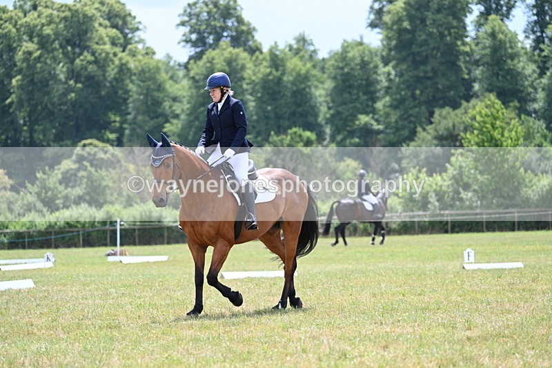 WJ7_5450 - Time 11:52 to 12:10