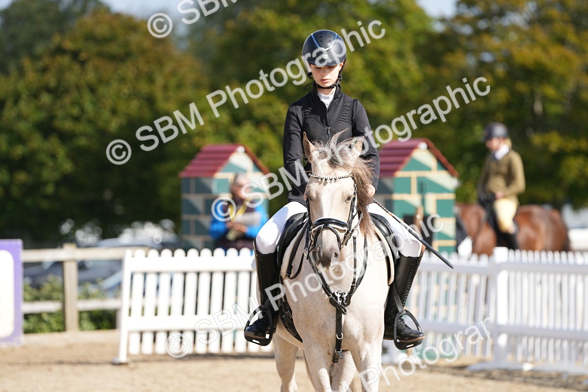 SBM_17831 - J58 - Clear Round 50cm