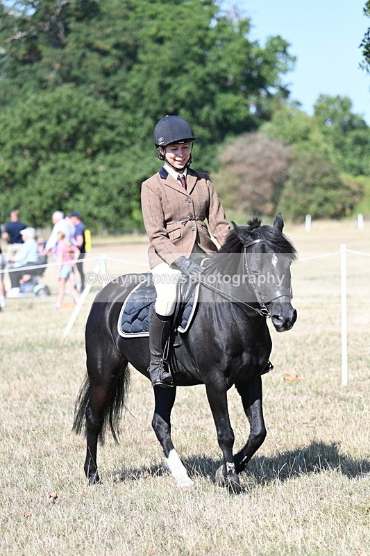 WJ7_3538 - Class 9 Mountain & Moorland Ridden