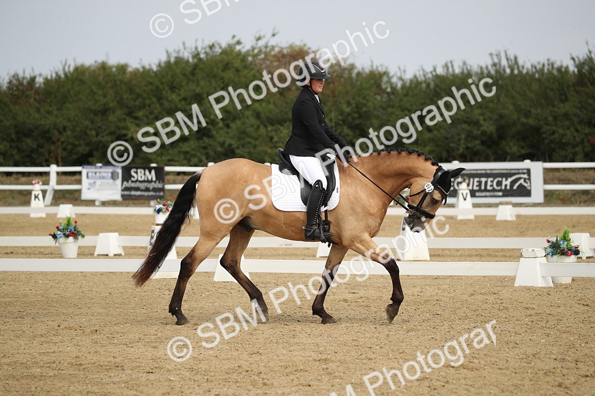 SBM_001202 - Class 2 - Pelim 5 - 11.36.12.32