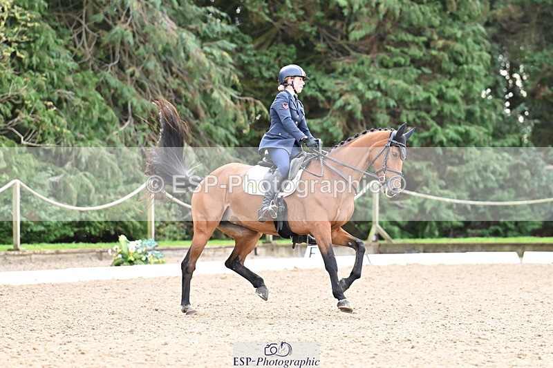 251023A-113000-01259 - C-229-Vittoria.Panizzon