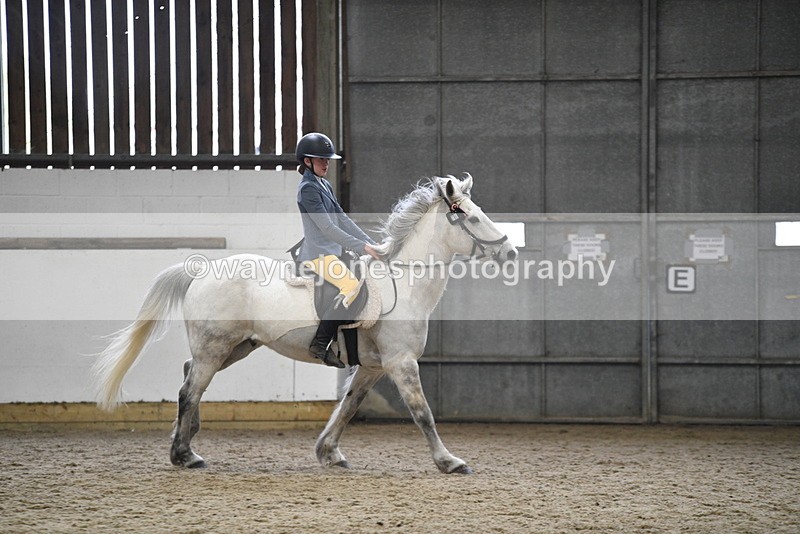 WJ5_7924 - Class 13 Ridden Part Breed