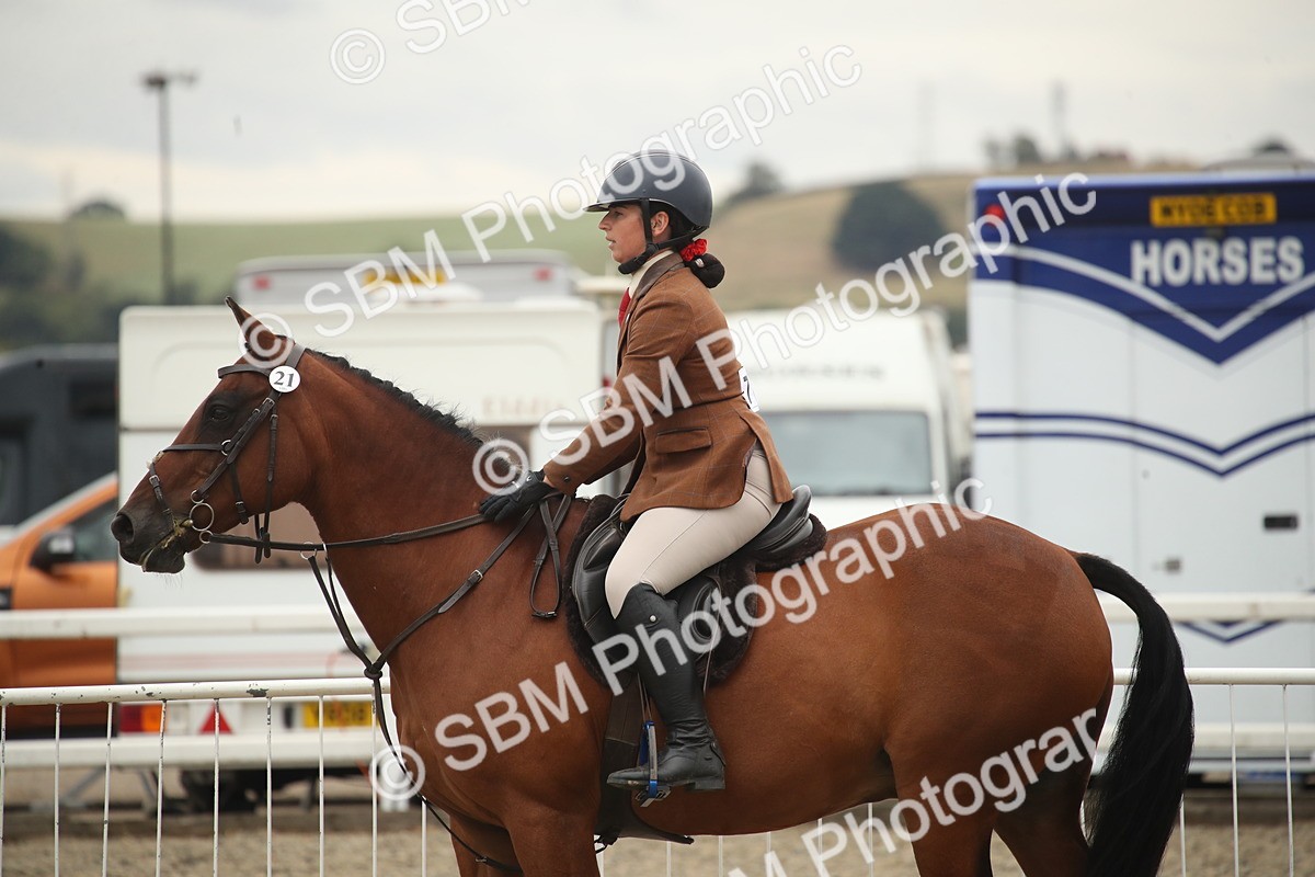 SBM_18503 - Class 510b - Working Veteran 90cm (20+)