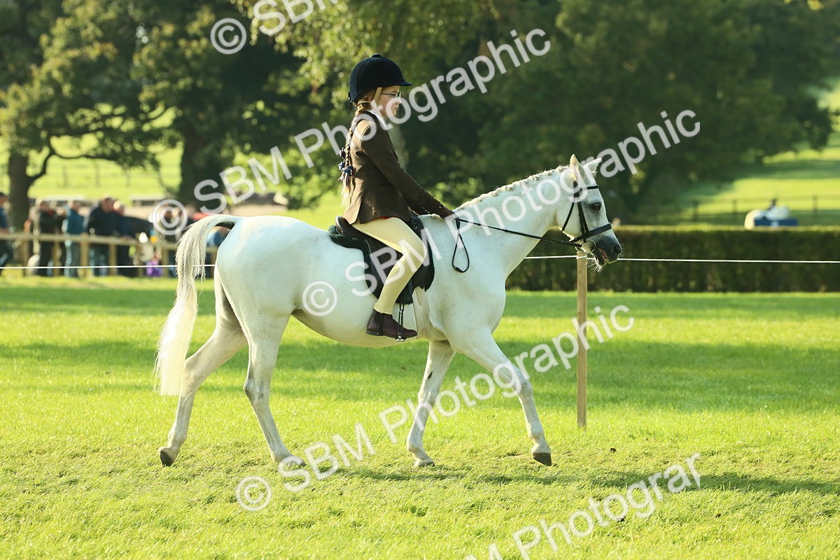 SBM_59133 - S38 - Starters Ridden Showing