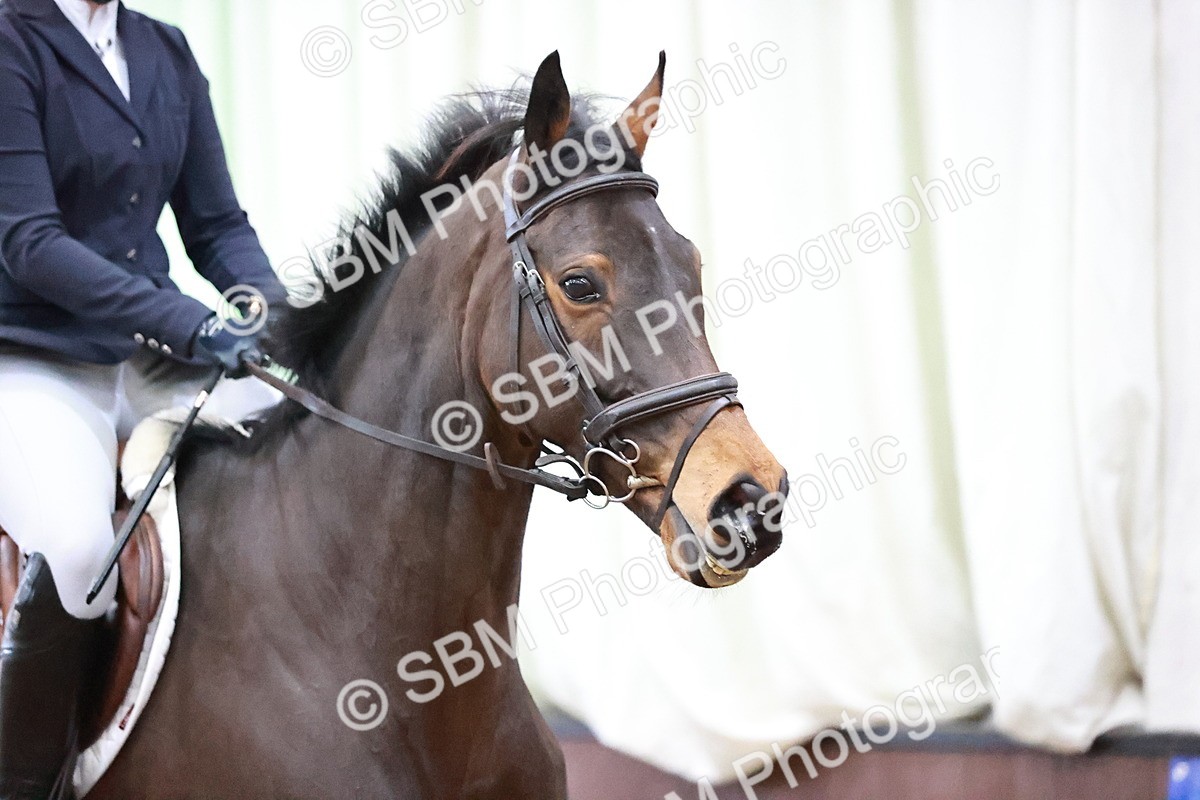 SBM_001899 - Class 8 - Senior British Novice 90cm