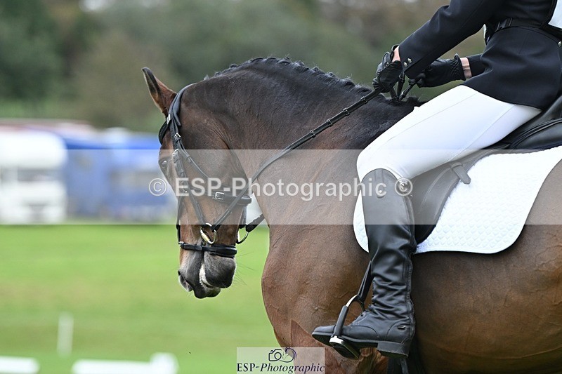 231020-153945-11233 - 507-EDGEDALE.BLUE.LADY-Katie.Lavin-DR