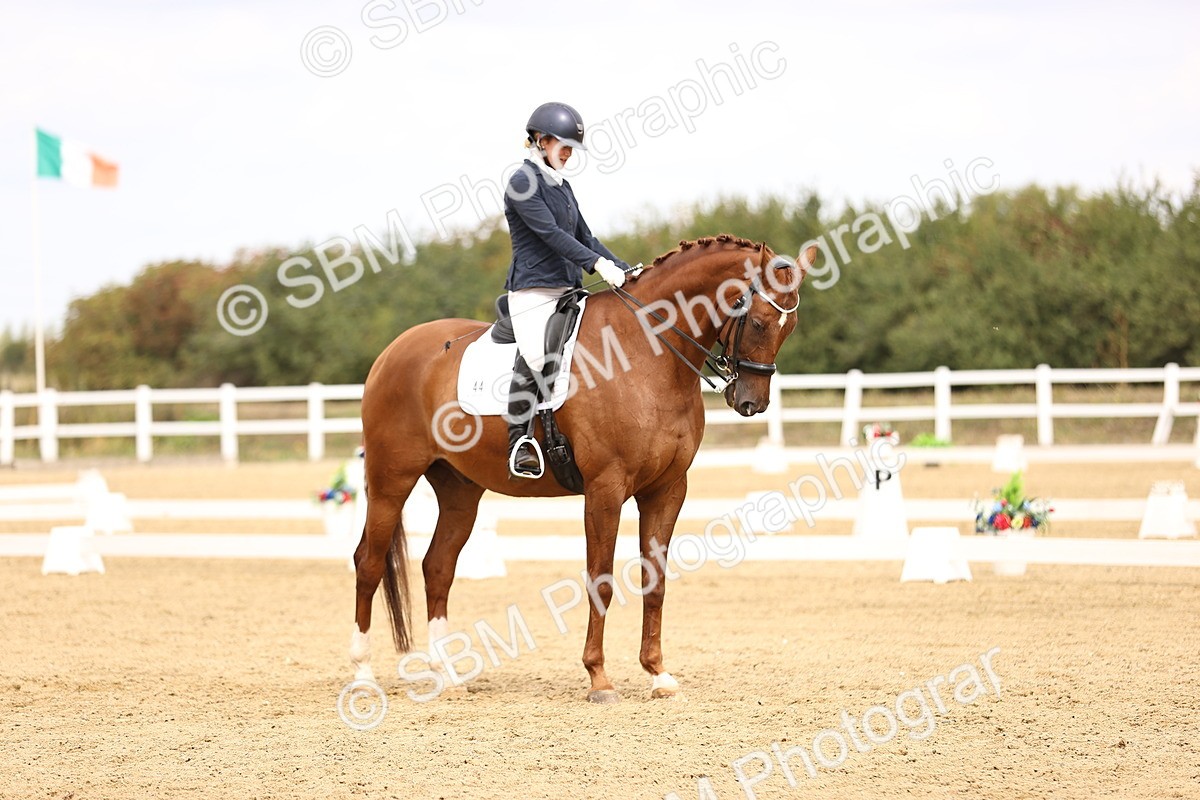 SBM_012996 - Class 2 - Advanced Medium 5 - 10.35-11.55