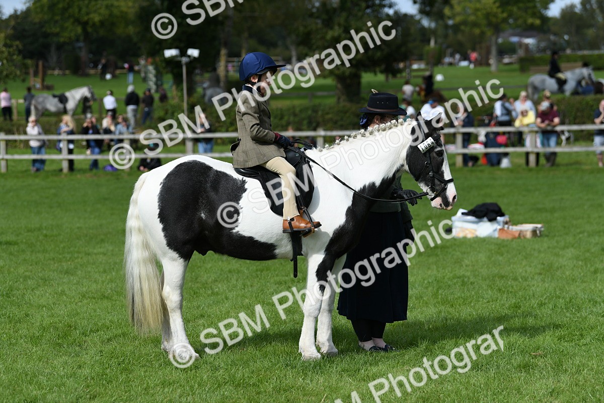 SBM_47008 - S12 - Family Horse & Pony