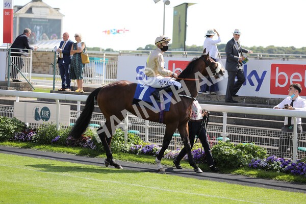 yr12062021r5-1 - Race 5 4.15pm Reg Griffin Appreciation EBFstallions.com Maiden Stakes