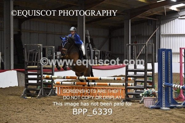 BPP_6339 - CLASS 2  Club/ Unaffiliated 80cms Open